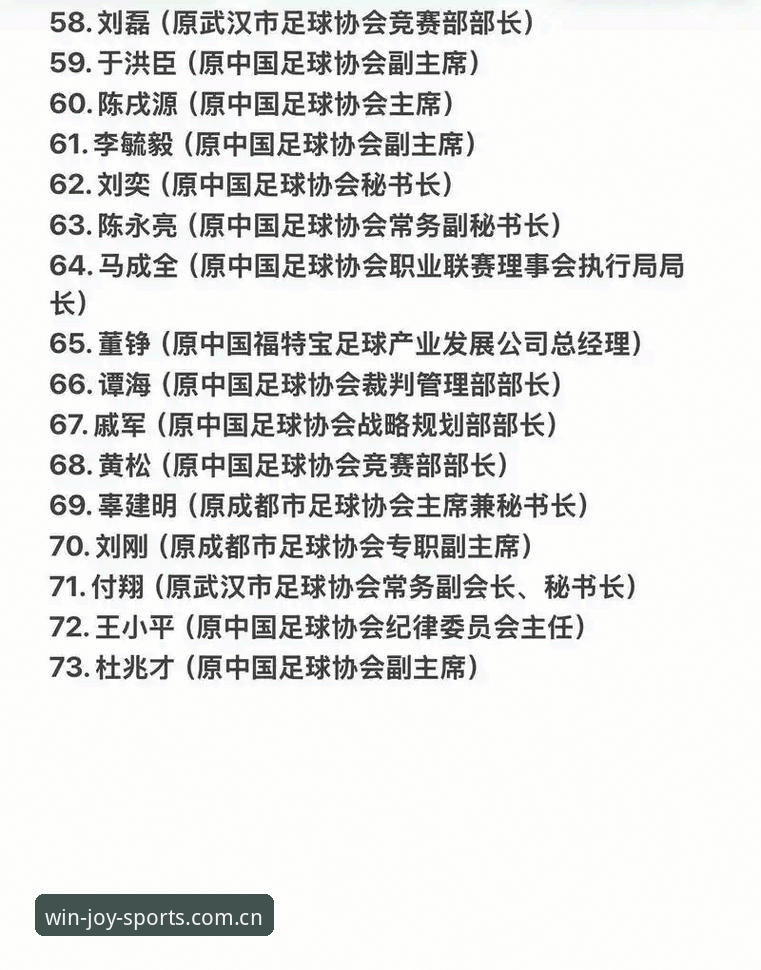 盈嘉体育有哪些功能 中国足协第三批禁足名单深度解析:17人终身禁赛与体育生态重塑完整指南